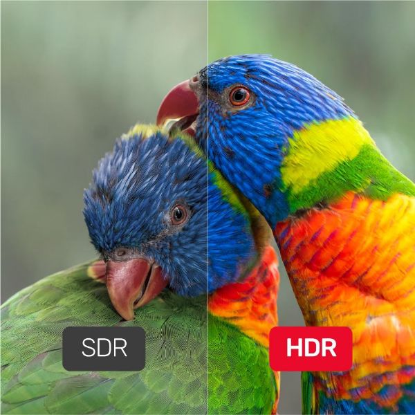 Picture of 2m DisplayPort V1.4 Cable Supports 8K@60Hz 4K@144Hz & 1440p@240Hz 32.4Gbps