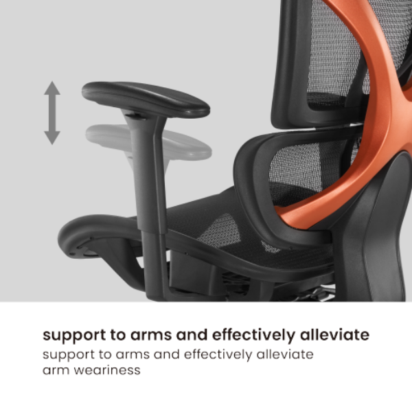 Picture of SpineX Ergonomic Office Chair w/ Posture Enhancement