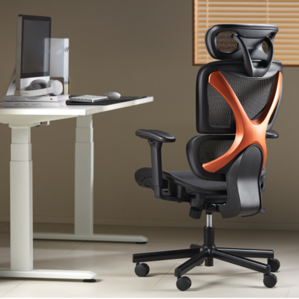 Picture of SpineX Ergonomic Office Chair w/ Posture Enhancement