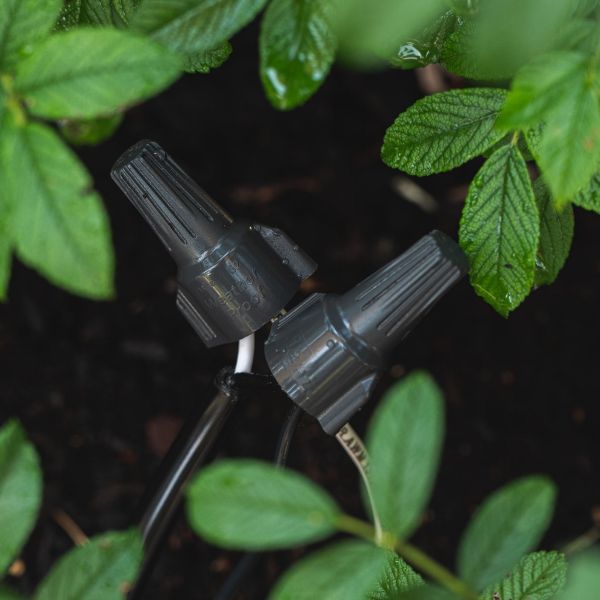 Picture of 24A Grey/Orange WeatherProof Twister Connector 25pc Card.