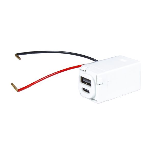 Picture of USB-A/C Keystone Charging Charging Mechanism Input 100-240V 60Hz Output 5VDC 3A