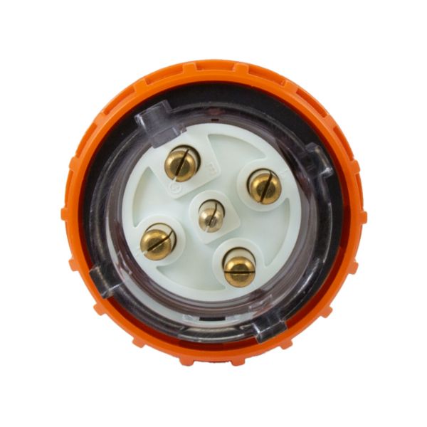 Picture of Extension Plug Straight 5 Pin 50A Round IP66 Stainless Steel cover fastening